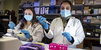 students working in lab at McGowan Institute for Regenerative Medicine